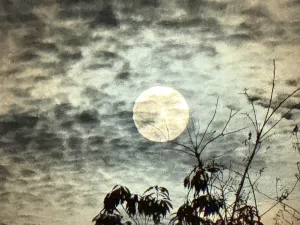 iPhoneで撮影した月