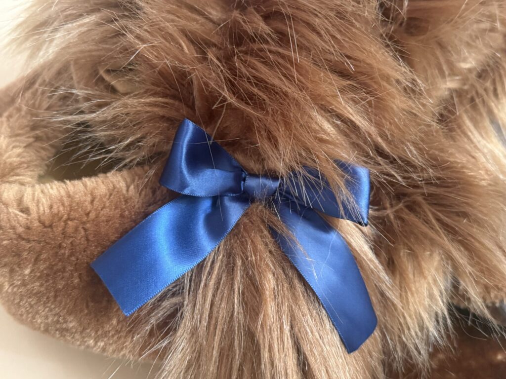 ディズニー 持ち物 冬