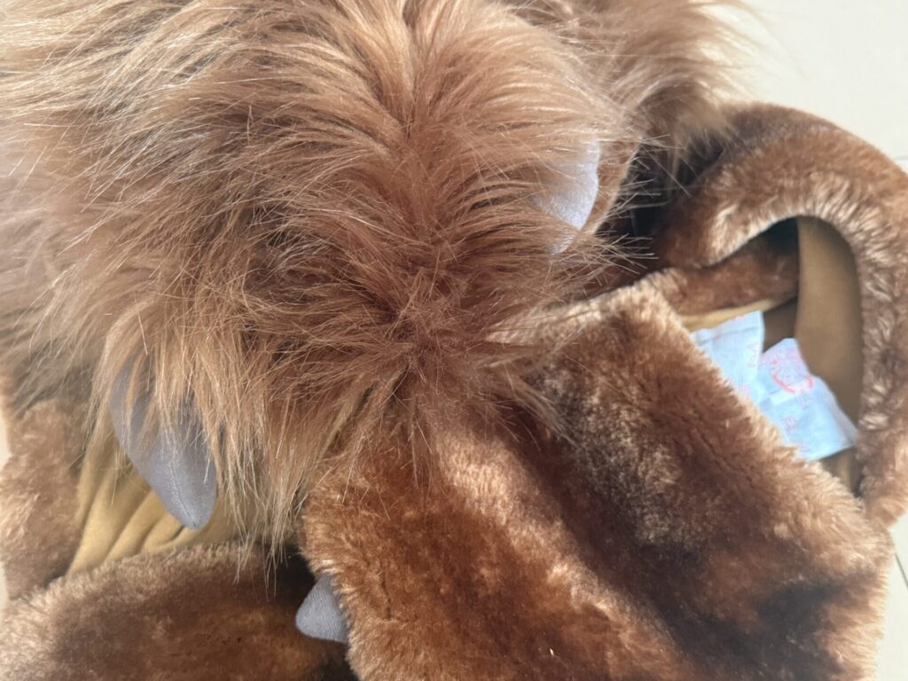 ディズニー 持ち物 冬