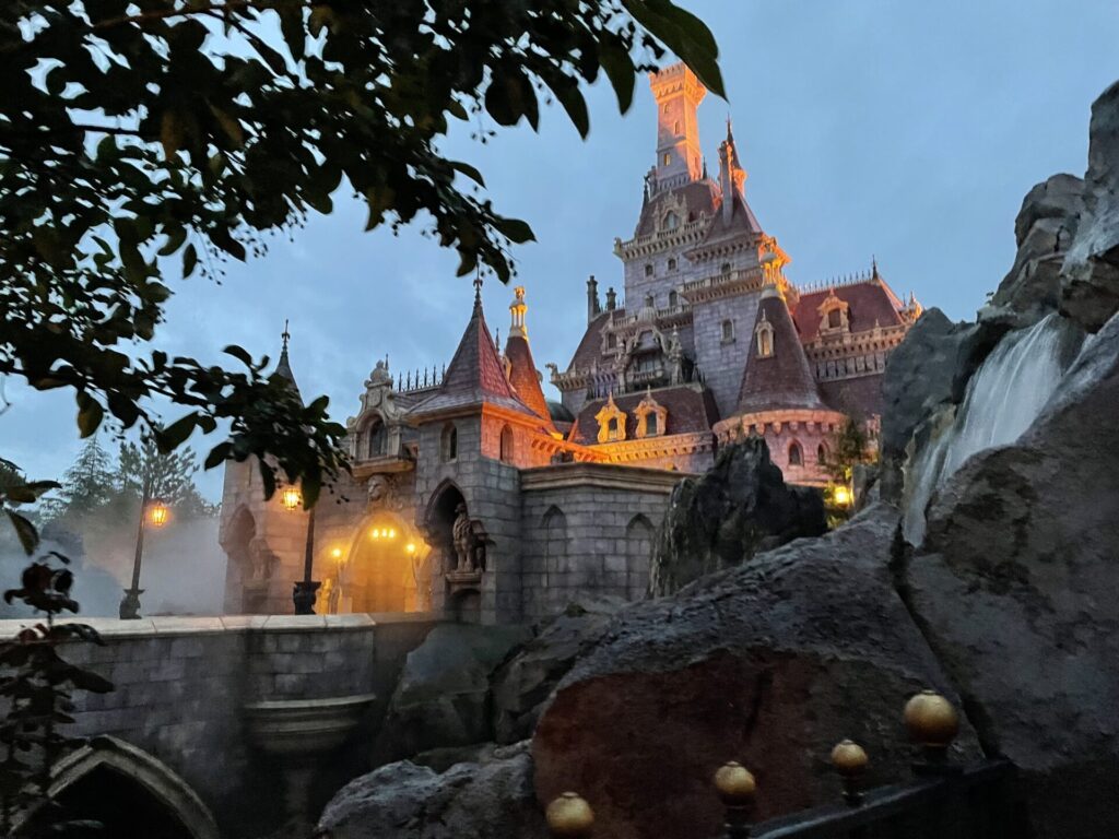 ディズニー 雨の日 持ち物 グッズ