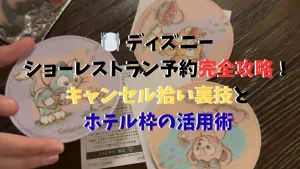 ディズニー プランニング 完璧