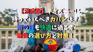 ディズニー 雨の日 持ち物 グッズ