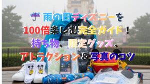 ディズニー ランド シー 雨の日 比較 攻略